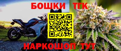 шишки Усть-Илимск