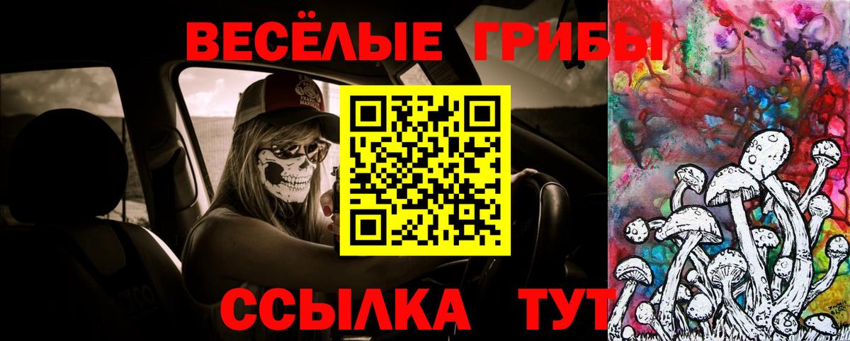 Псилоцибиновые грибы прущие грибы  Галлюциногенные грибы мухоморы  Самара  Вход с VPN 